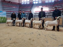 2026 Bilder 1A Tiere &raquo; 1A Tiere Miesbach 28.03.2026